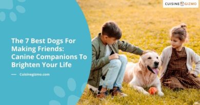 The 7 Best Dogs for Making Friends: Canine Companions to Brighten Your Life
