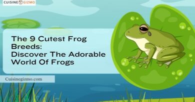 The 9 Cutest Frog Breeds: Discover the Adorable World of Frogs