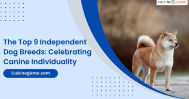 The Top 9 Independent Dog Breeds: Celebrating Canine Individuality