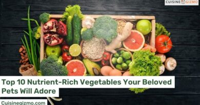 Top 10 Nutrient-Rich Vegetables Your Beloved Pets Will Adore