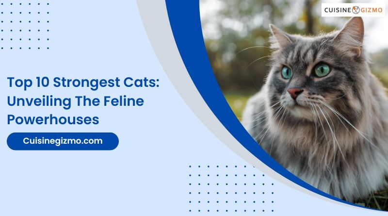Top 10 Strongest Cats: Unveiling the Feline Powerhouses
