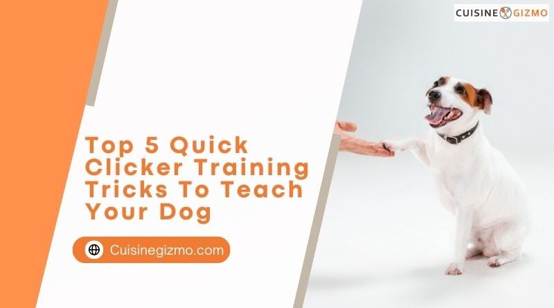 Top 5 Quick Clicker Training Tricks to Teach Your Dog