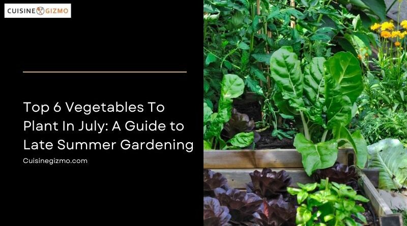 Top 6 Vegetables to Plant in July: A Guide to Late Summer Gardening