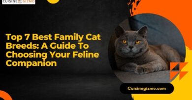 Top 7 Best Family Cat Breeds: A Guide to Choosing Your Feline Companion