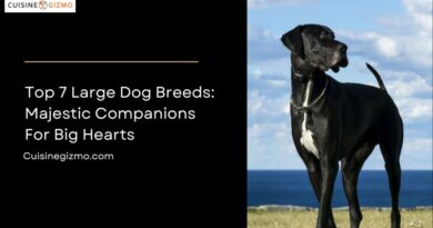 Top 7 Large Dog Breeds: Majestic Companions for Big Hearts