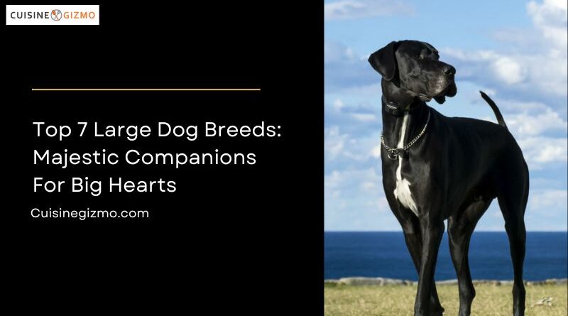 Top 7 Large Dog Breeds: Majestic Companions for Big Hearts