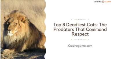 Top 8 Deadliest Cats: The Predators That Command Respect