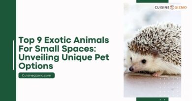 Top 9 Exotic Animals for Small Spaces: Unveiling Unique Pet Options