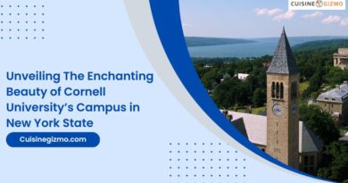 Unveiling the Enchanting Beauty of Cornell University’s Campus in New York State