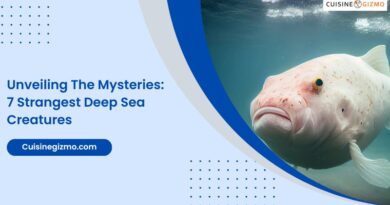 Unveiling the Mysteries: 7 Strangest Deep Sea Creatures