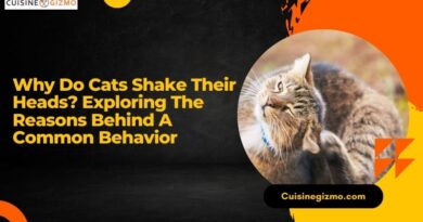 Why Do Cats Shake Their Heads? Exploring the Reasons Behind a Common Behavior