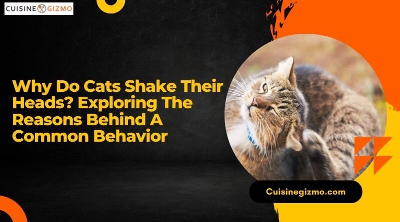 Why Do Cats Shake Their Heads? Exploring the Reasons Behind a Common Behavior