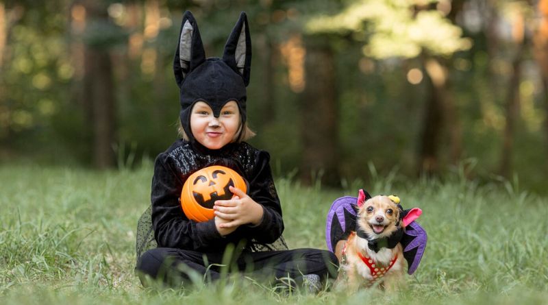 7 DIY Dog Halloween Costumes Unleash the Creativity!