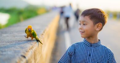 7 Kid-Friendly Birds Feathered Friends for Children