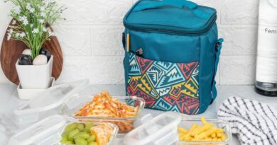 Best Lunch Cooler 3 Lunch Coolers for Work You Should Buy