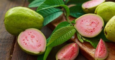 8 Benefits Of Eating Guava In Winter