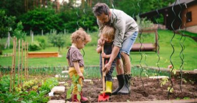 Top 10 Gardening Tips for Beginners