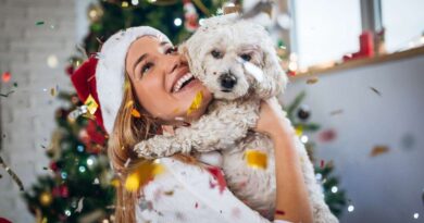 Ways To Include Your Pet In Holiday Festivities